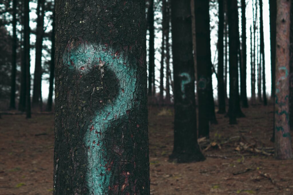 question mark on a tree